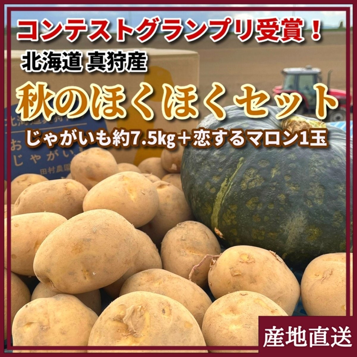 北海道産　３種から選べる 北海道じゃがいも ＋  希少かぼちゃ　「  恋するマロン 」　 秋のほくほくセット　真狩村　たむら農園