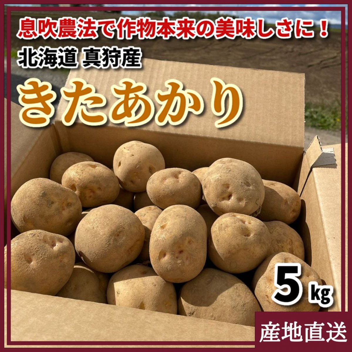 北海道産 きたあかり 5kg 北海道 真狩産  2021年コンテスト優勝
