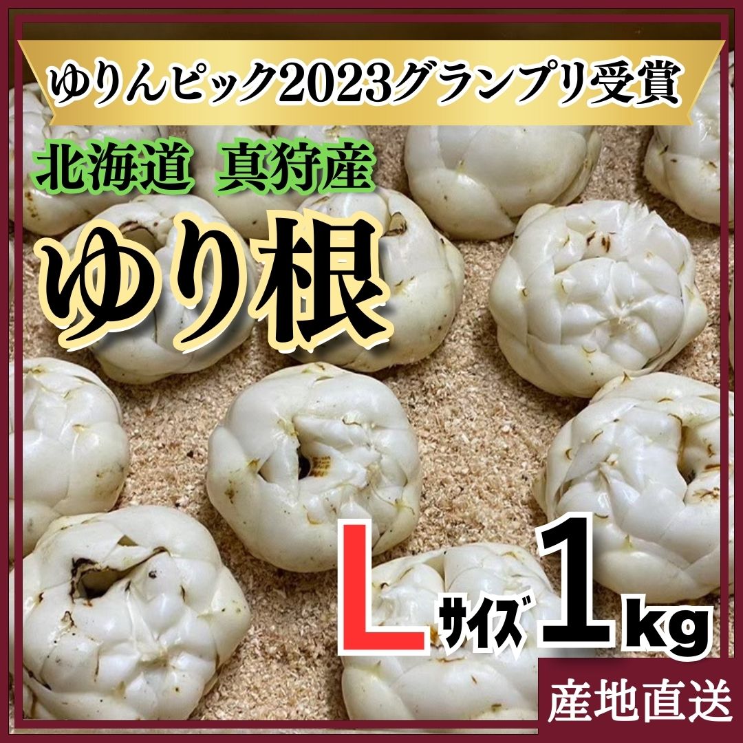 ゆり根 北海道 真狩産 【Lサイズ 1kg 9個入り】ゆりんピック2023優勝