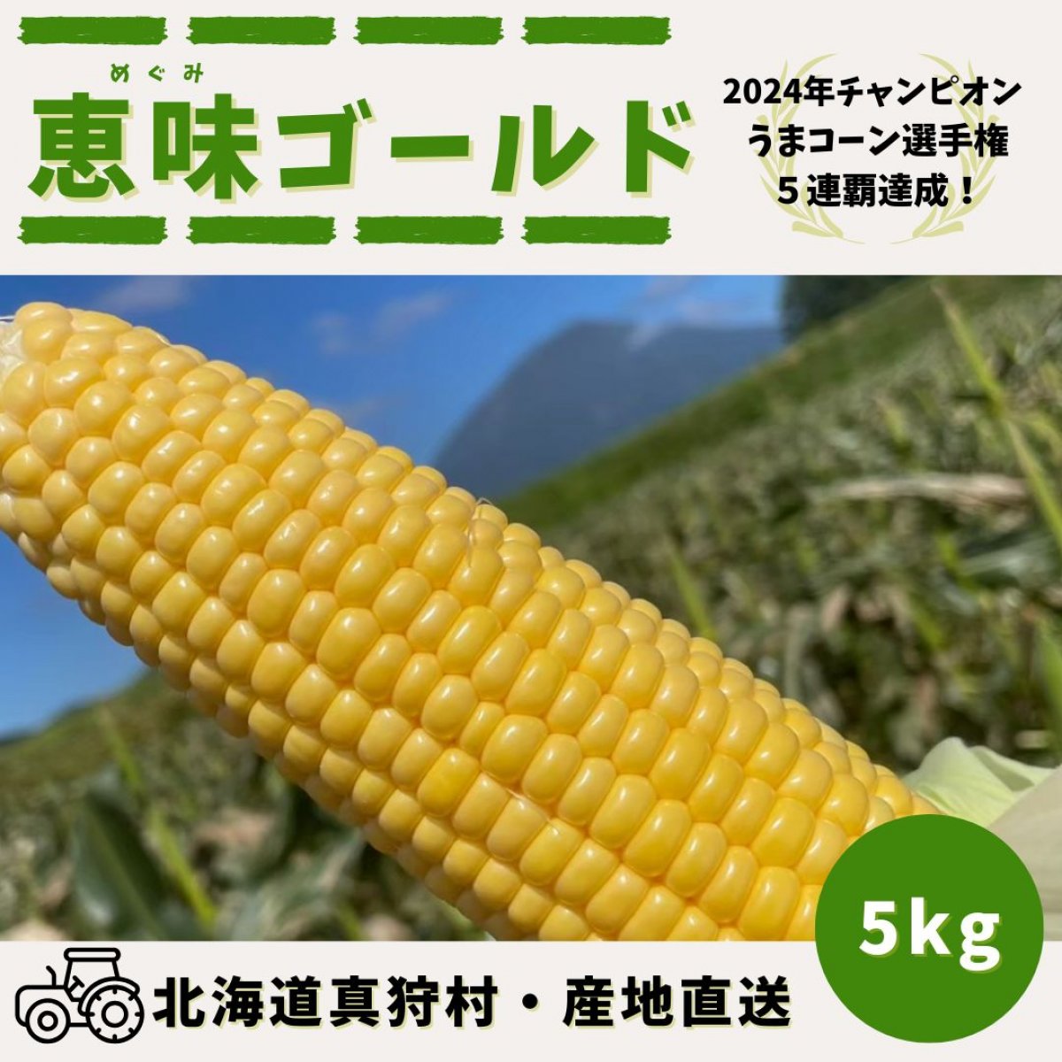 うまコーン選手権５連覇達成！　 桃より甘い朝採りトウモロコシ（恵味ゴールド）　　北海道 真狩産　5kg 12本入