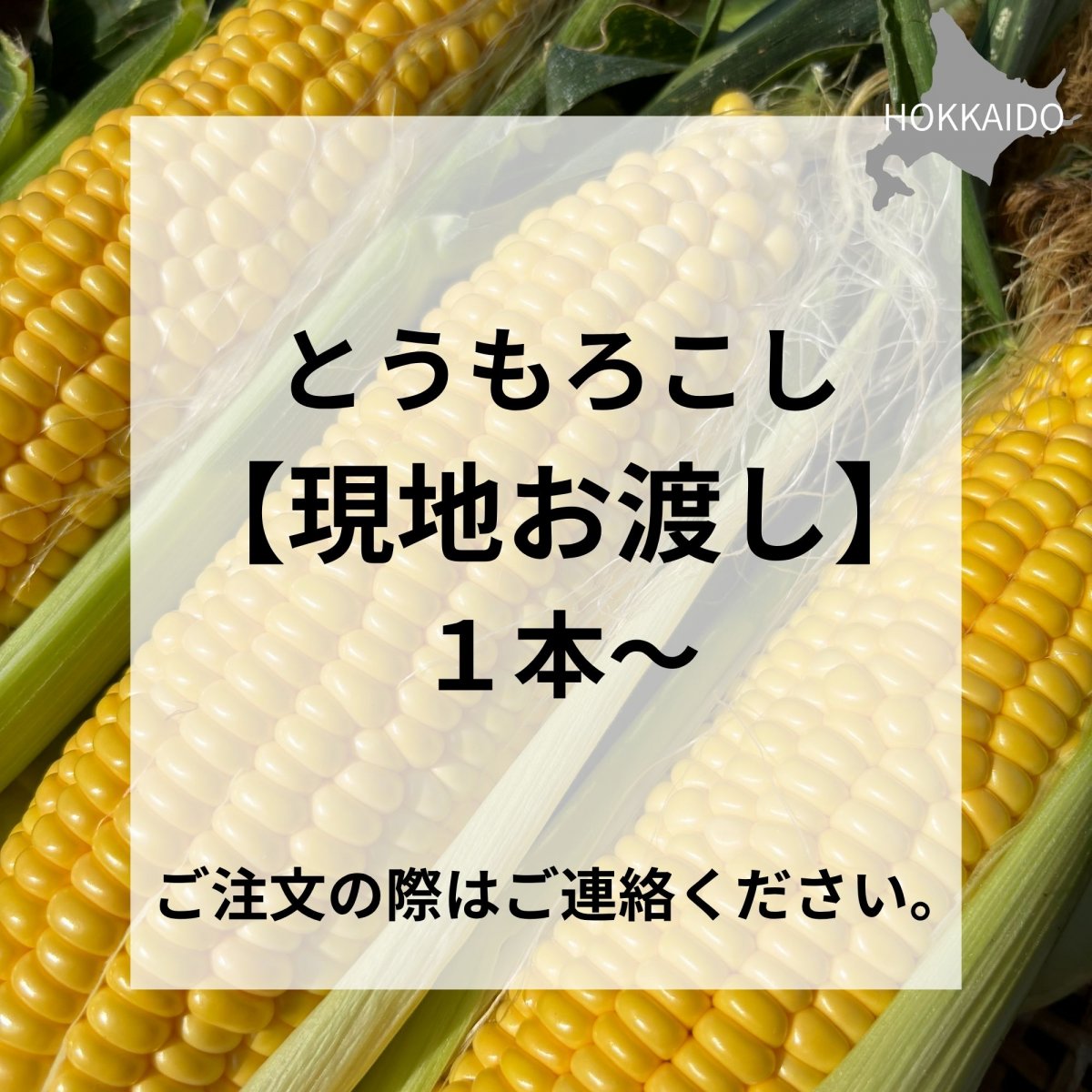 【現地お渡し専用】北海道長沼町産とうもろこし1本〜承ります/ゴールド...