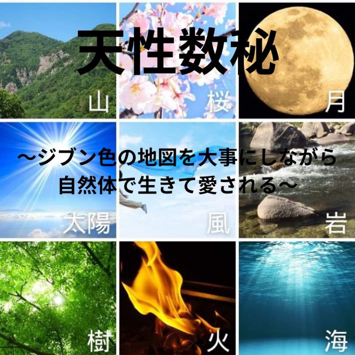 【診断シートのみ送信】数秘×色の「かずいろ数秘術（ヒト関係性分析）」を用いたキャラクター診断