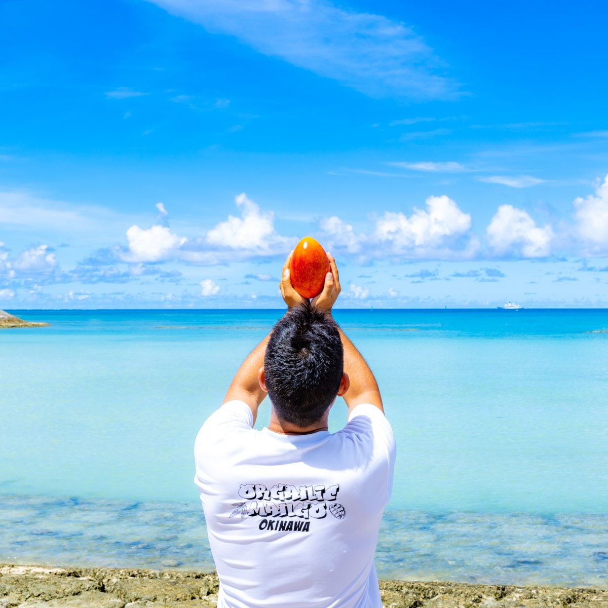 ツクツクショップ専用応援チケット!ホームページ素材出張撮影