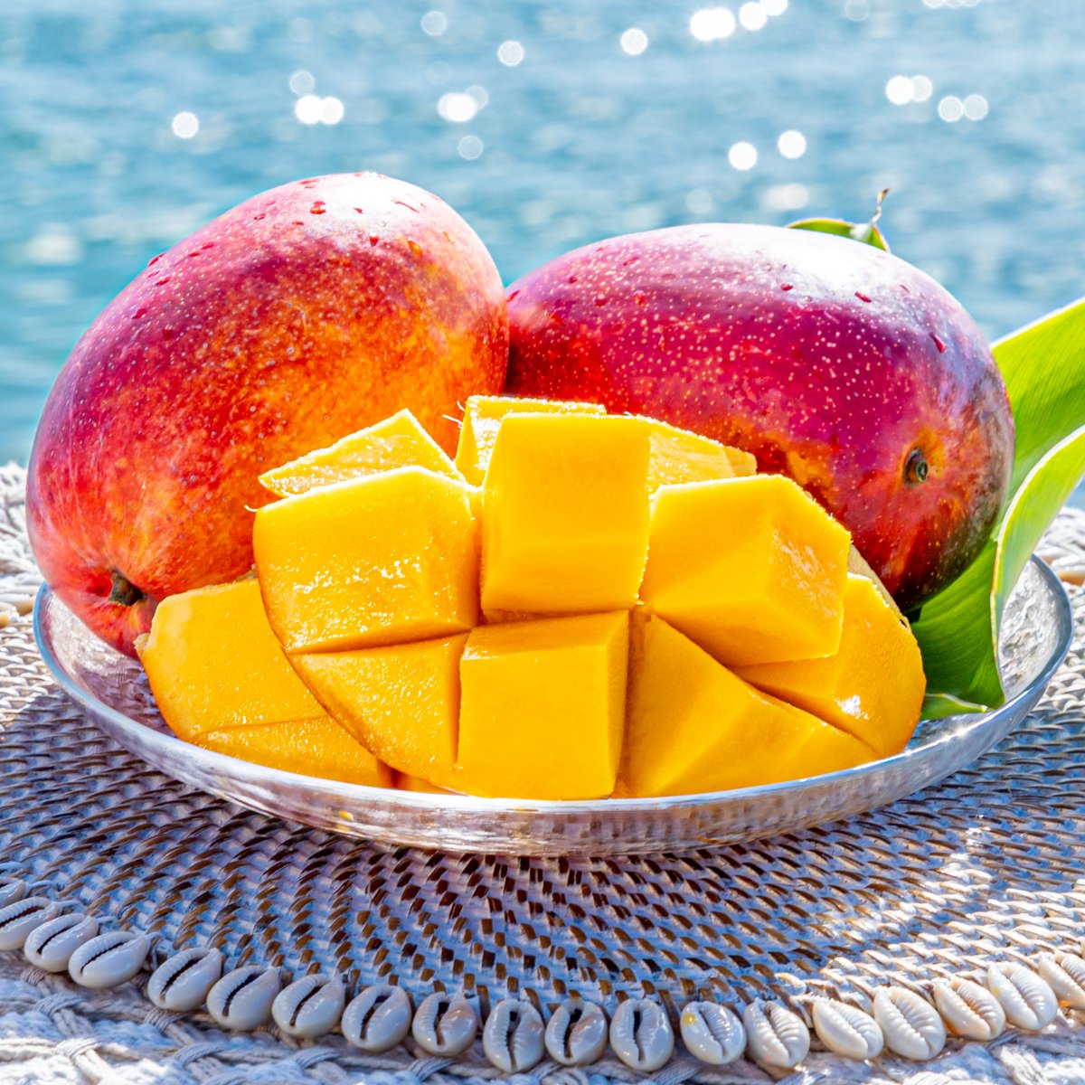 ツクツクショップ専用応援チケット!ホームページ素材出張撮影