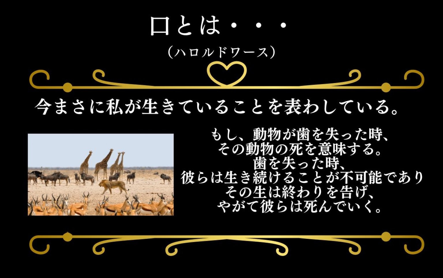 【オンライン】3ヶ月パック「お口歯っピーレッスン」回数券　