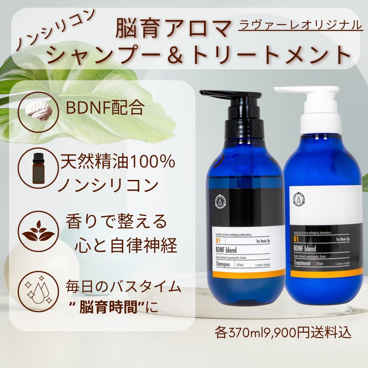 【セット】ノンシリコン脳育アロマケアセット（BDNF配合） 脳と自律神経をサポートするシャンプー＆トリートメント リッチオイル3種と天然精油100％で頭皮と髪をしっとり整えるエイジングケア