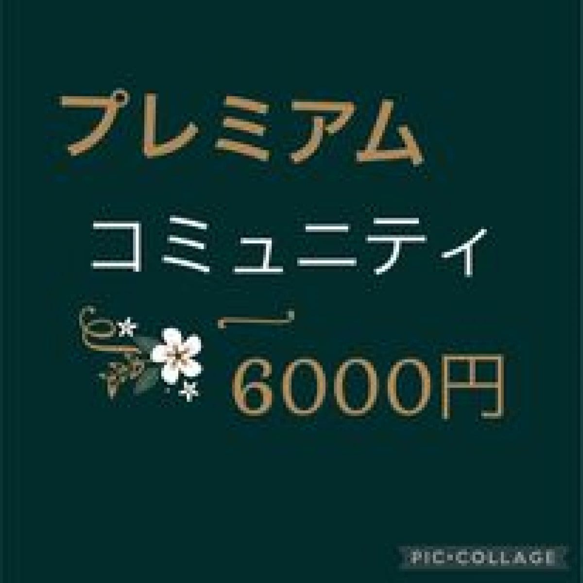 プレミアムコミュニティー