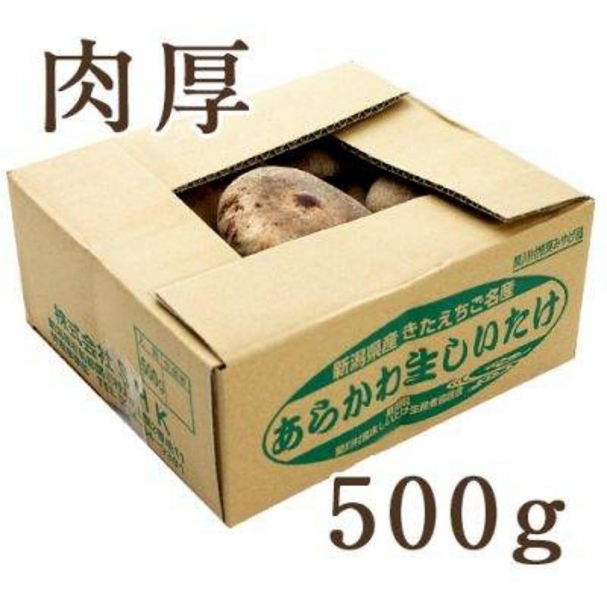 あらかわ生しいたけ プレミアム【特選肉厚大】500g/箱/送料無料