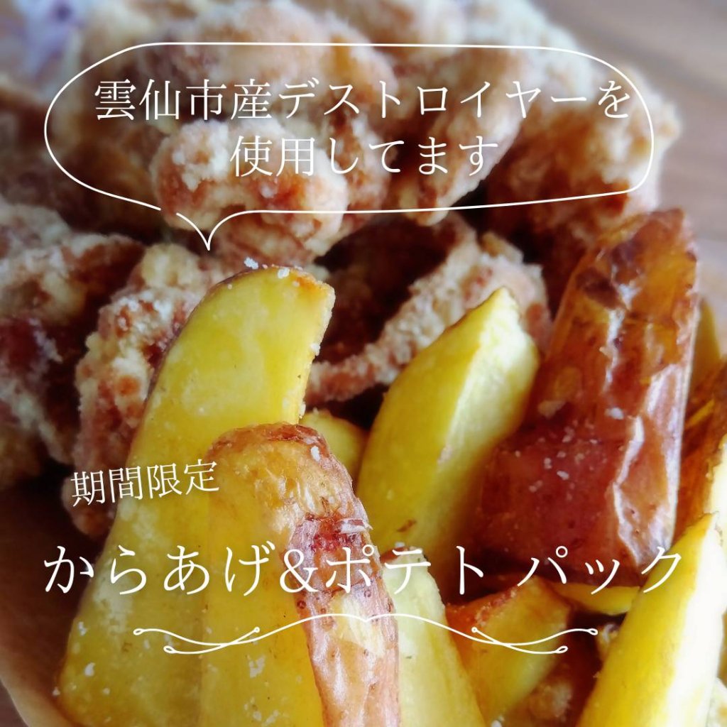 からあげ&ポテトパック【期間数量限定】 　からあげ8個＆デストロイヤーフライドポテト【現地払いのみ】長崎県諫早市 cafeslow.(カフェスロー)