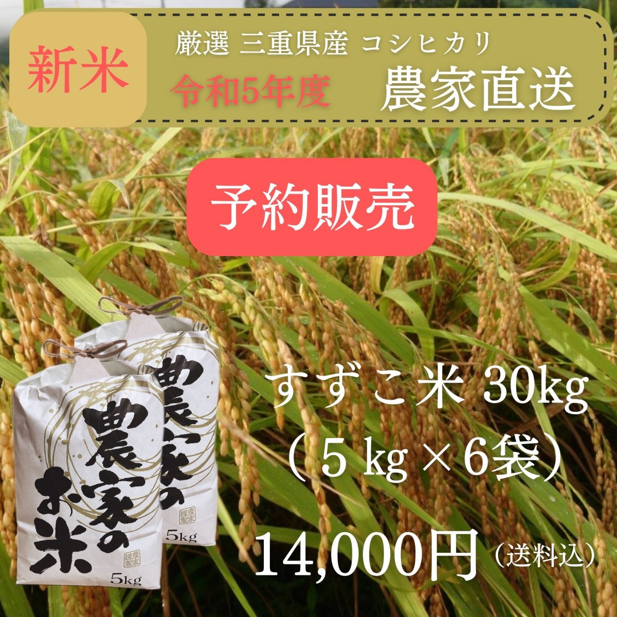 [新米予約]【高ポイント還元】「澁谷農園のすずこ米（コシヒカリ）」澁谷農園 10代目すずこが作った『すずこ米』令和5年度 三重県産 米袋入り 30㎏（5㎏×6袋）送料込み