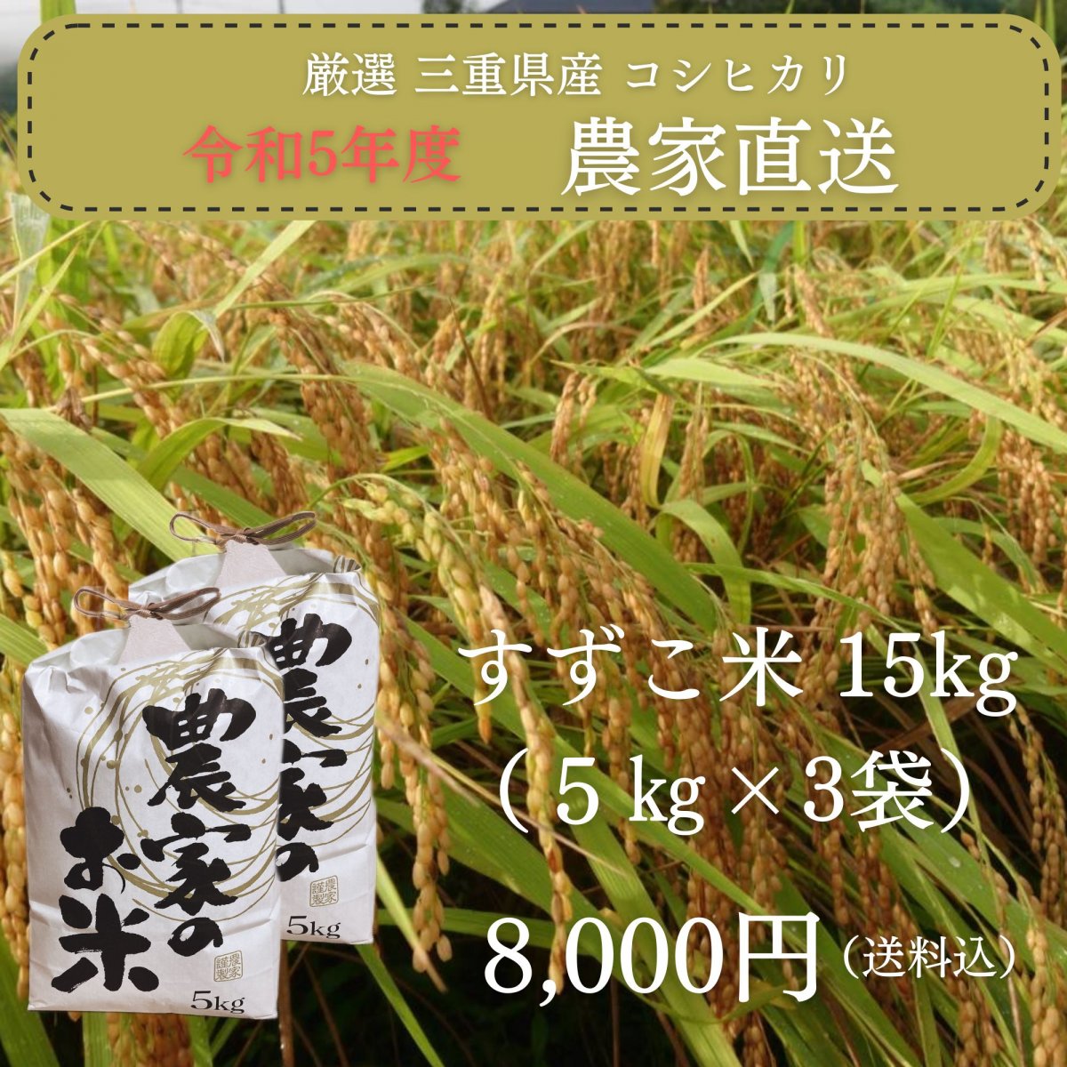 【高ポイント還元】「澁谷農園のすずこ米（こしひかり）」澁谷農園 10代目すずこが作った『すずこ米』令和5年度 三重県産 米袋入り 15㎏（5㎏×3袋）送料込み