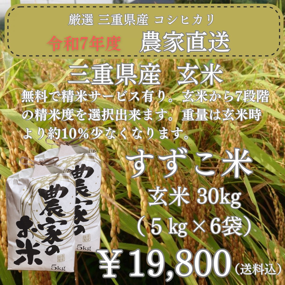「減農薬 澁谷農園のすずこ米（コシヒカリ）」澁谷農園 10代目すずこが...