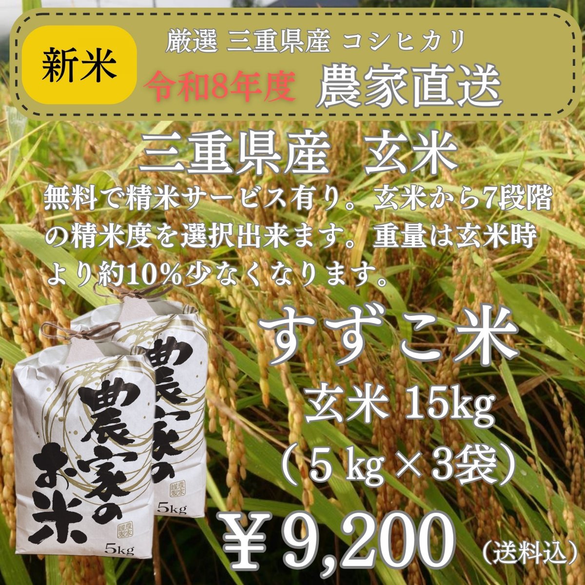 令和8年度 「減農薬 澁谷農園のすずこ米（コシヒカリ）」澁谷農園 10代目すずこが作った『すずこ米』 三...