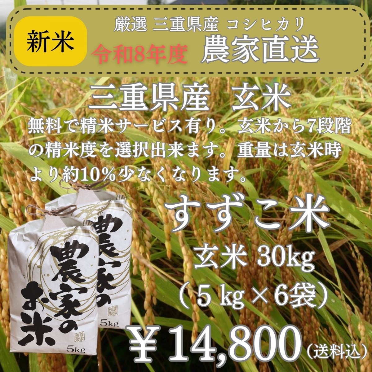 令和8年度 「減農薬 澁谷農園のすずこ米（コシヒカリ）」澁谷農園 10代目すずこが作った『すずこ米』 三...