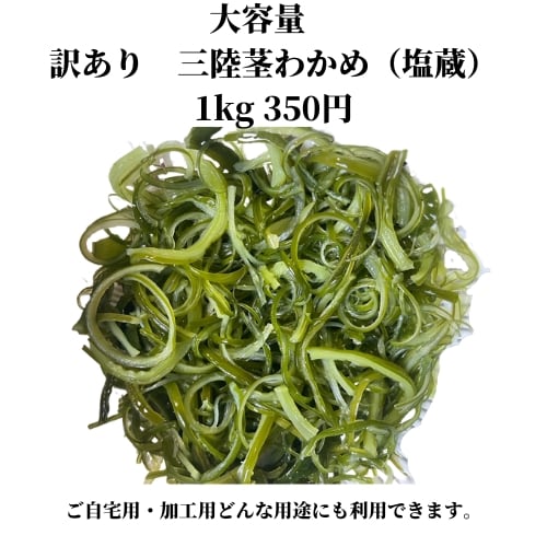 三陸の塩蔵茎わかめ10kg【訳あり特価】自宅用にも 加工用・業務用のお