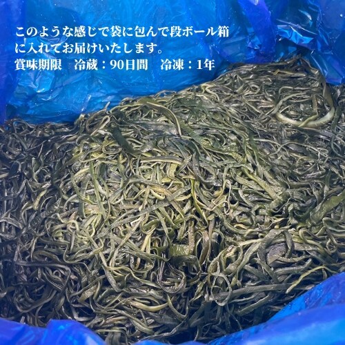 【塩蔵茎わかめ】大容量8kg 産地直送 三陸産 人気 大容量　業務用　茎わかめ 三陸産 塩蔵茎わかめ - 石巻の海産物の通販サイト - 海産物いのうえ