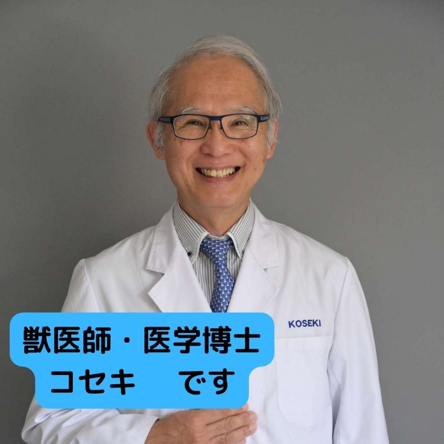 獣医師による電話診察・相談　15分間　モバイルアニマルクルニック　(犬猫)