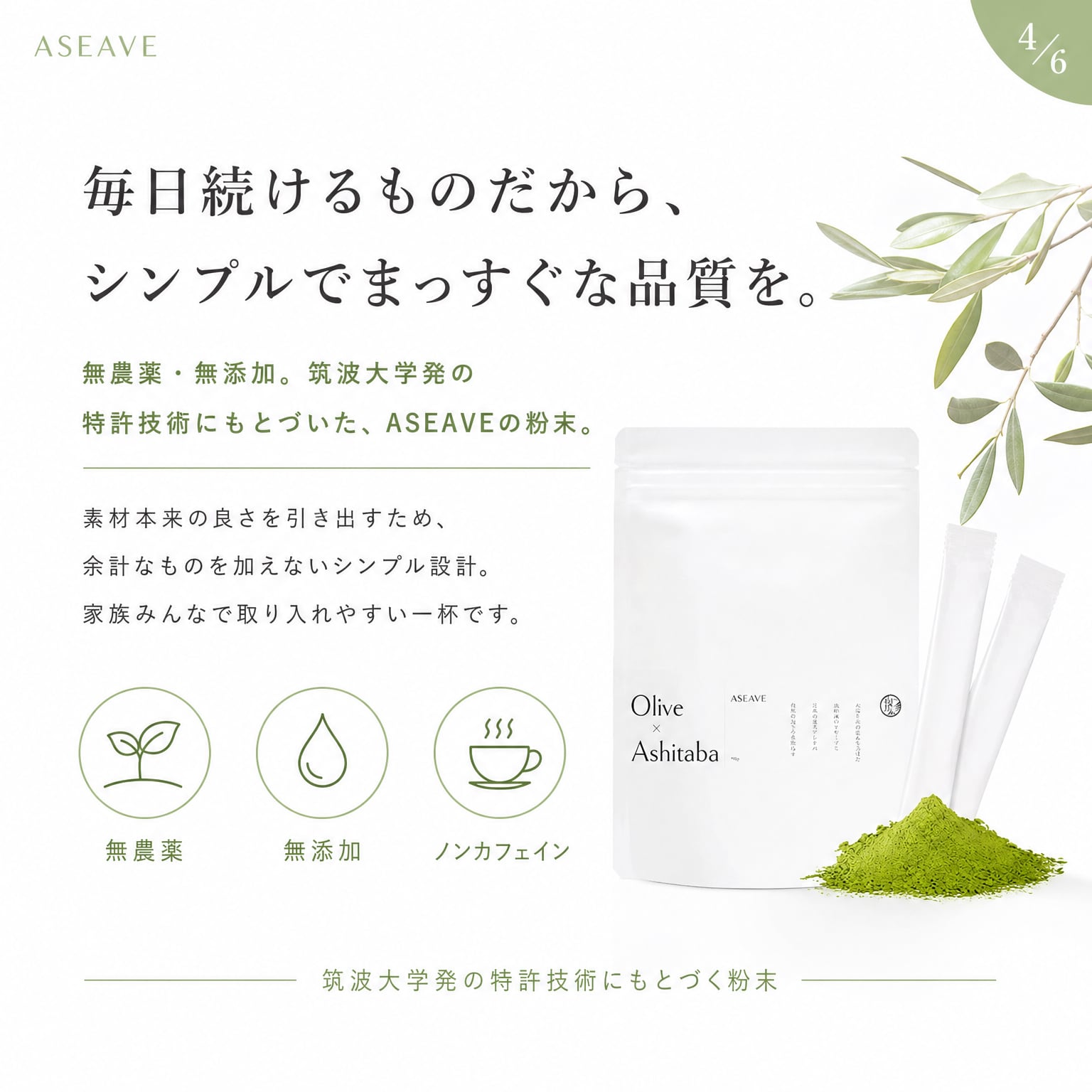 明日葉 × オリーブリーフ 送料無料】アシーブ