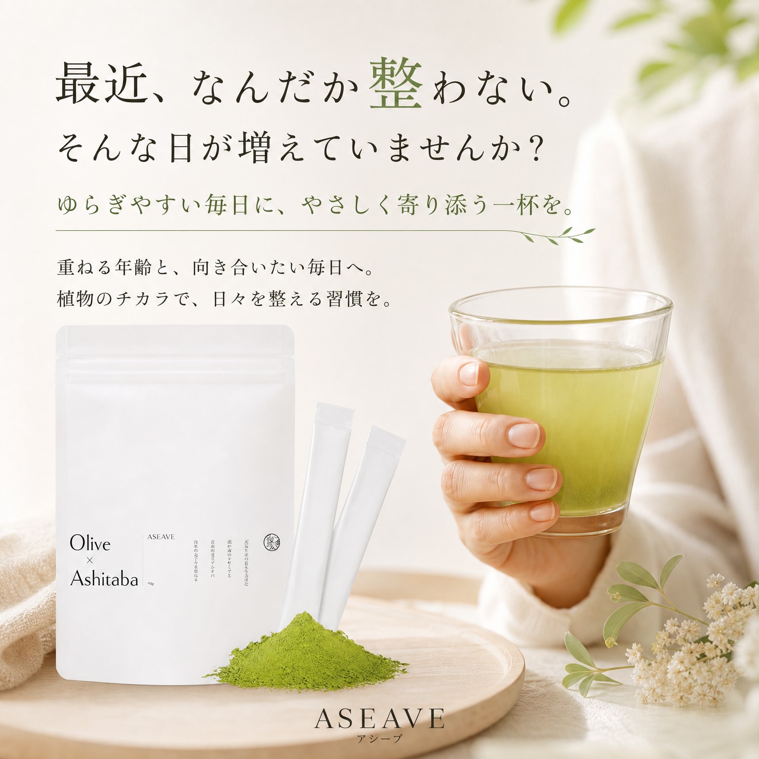 明日葉 × オリーブリーフ 送料無料】アシーブ