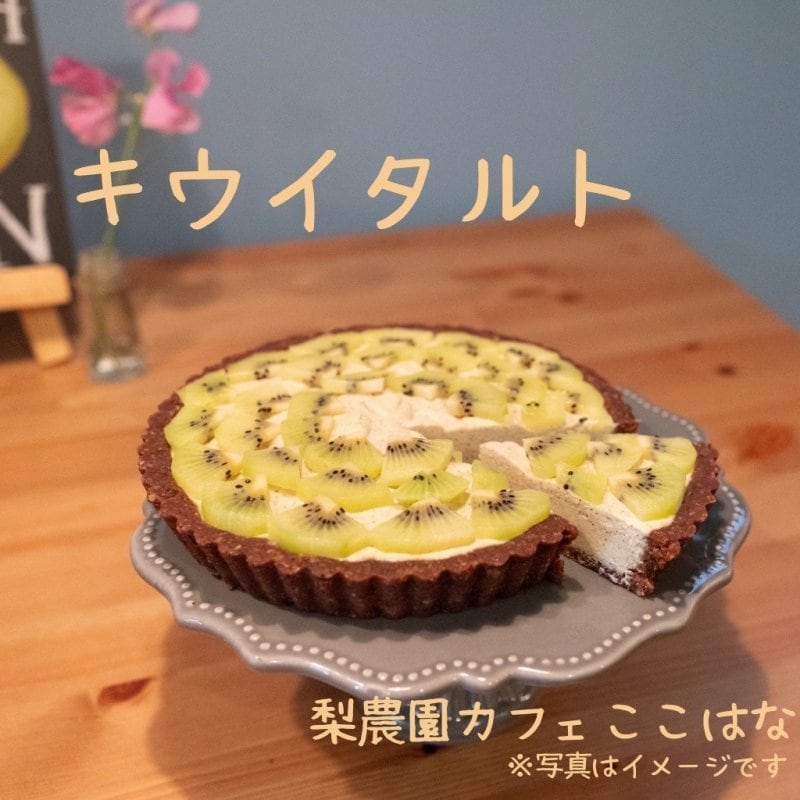 フルーツたっぷり至極のロータルト(１８㎝ホールタルト８カット分)／キウイ丸ごと４個使用、アレルギー対応、小麦粉不使用、乳製品不使用、白砂糖不使用、卵不使用／食べたほうがよいスイーツ