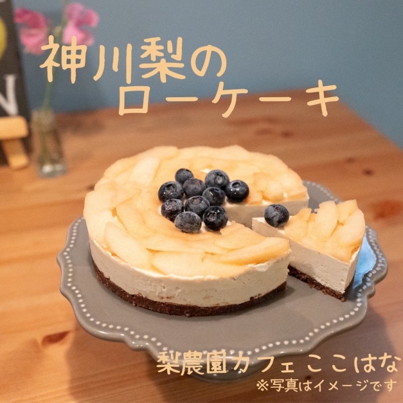 神川町の梨で作った極上のロースイーツケーキ(１５㎝のホールケーキ８カット分)／神川梨まるごと２個使用、アレルギー対応、小麦粉不使用、乳製品不使用、白砂糖不使用、卵不使用／食べたほうがよいスイーツ