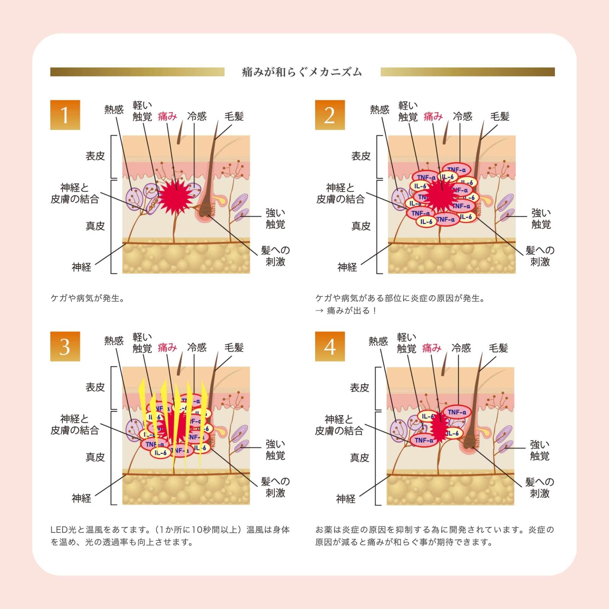 前払い銀行振込み専用LEDトライザー氣望（KIBOU）