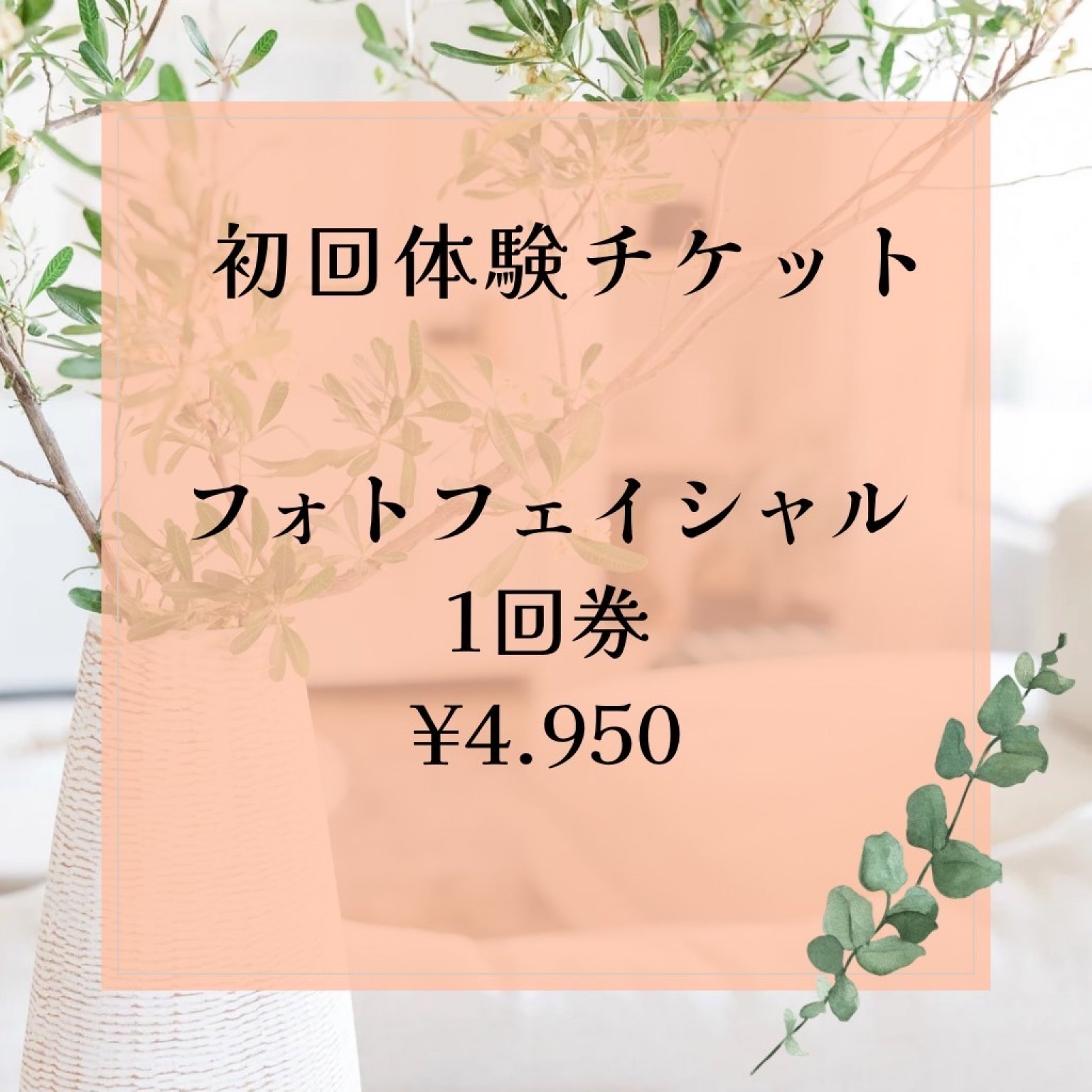 【初回体験】フォトフェイシャルコース1回券