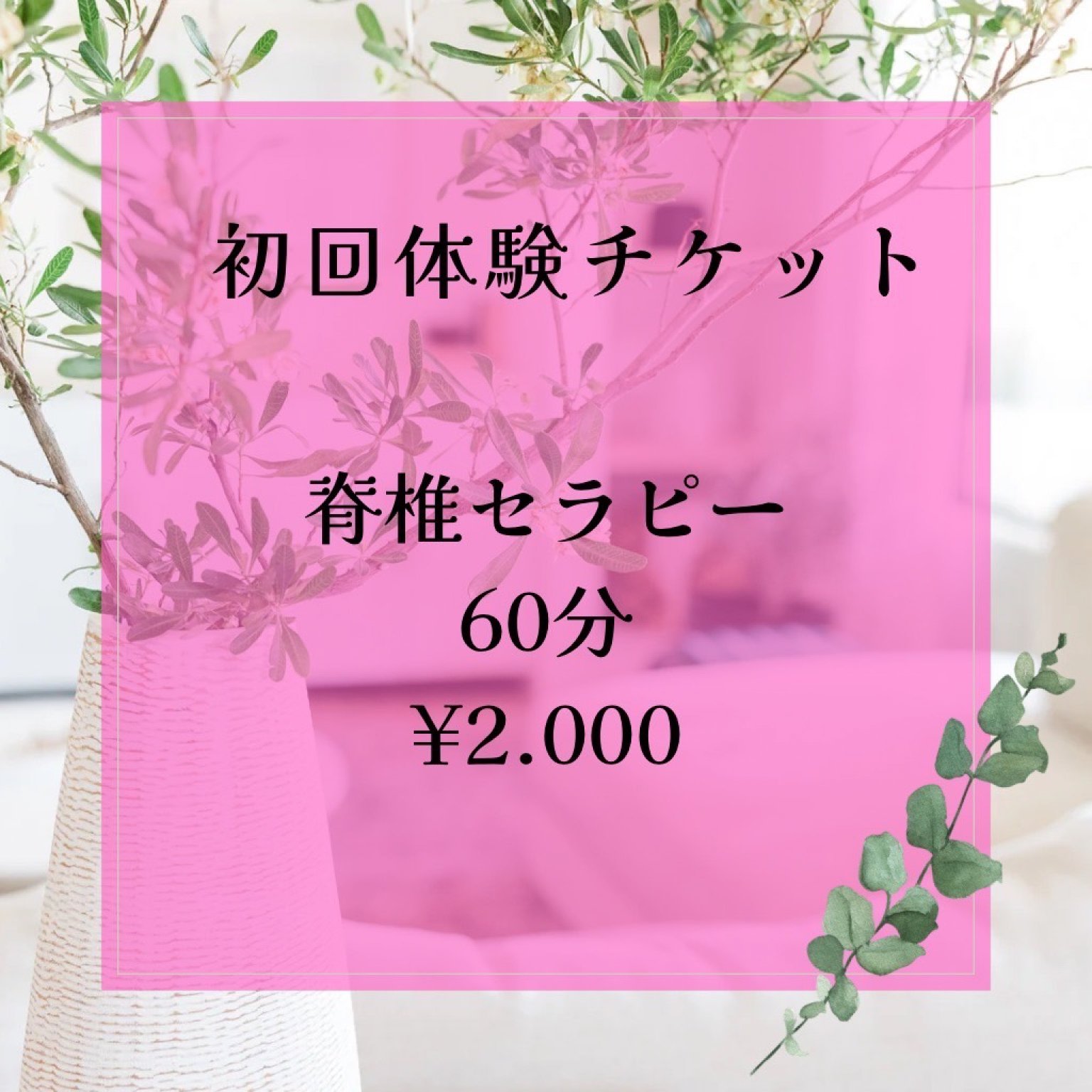 マスターV3 60分お試し 1回券