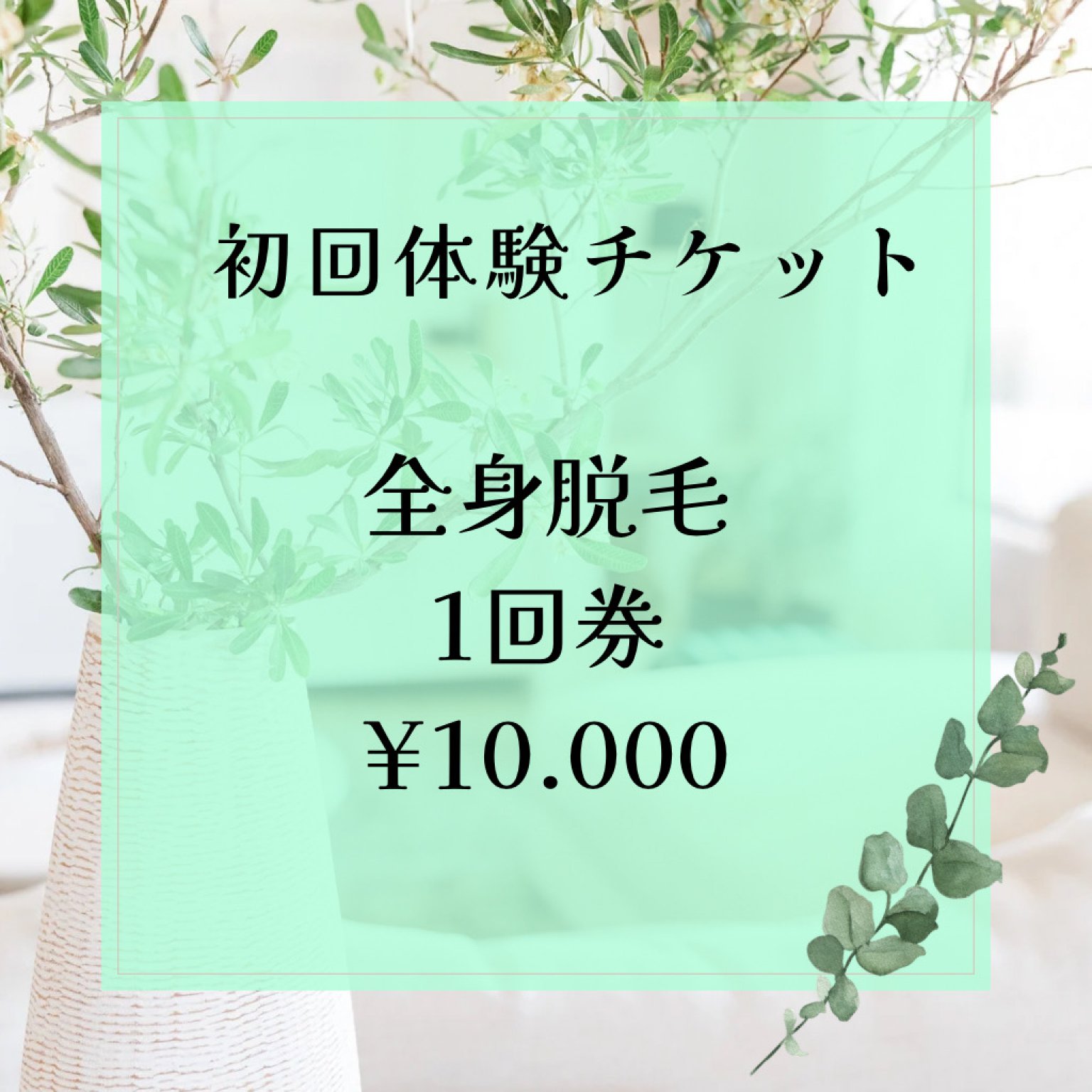 【体験コース】全身脱毛 1回券