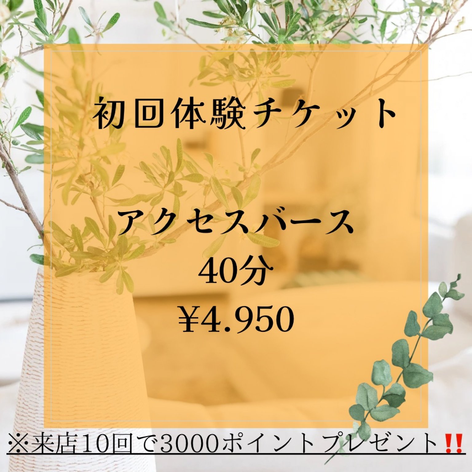 初回６０分体験　リラクゼーションアクセスバーズ１回券