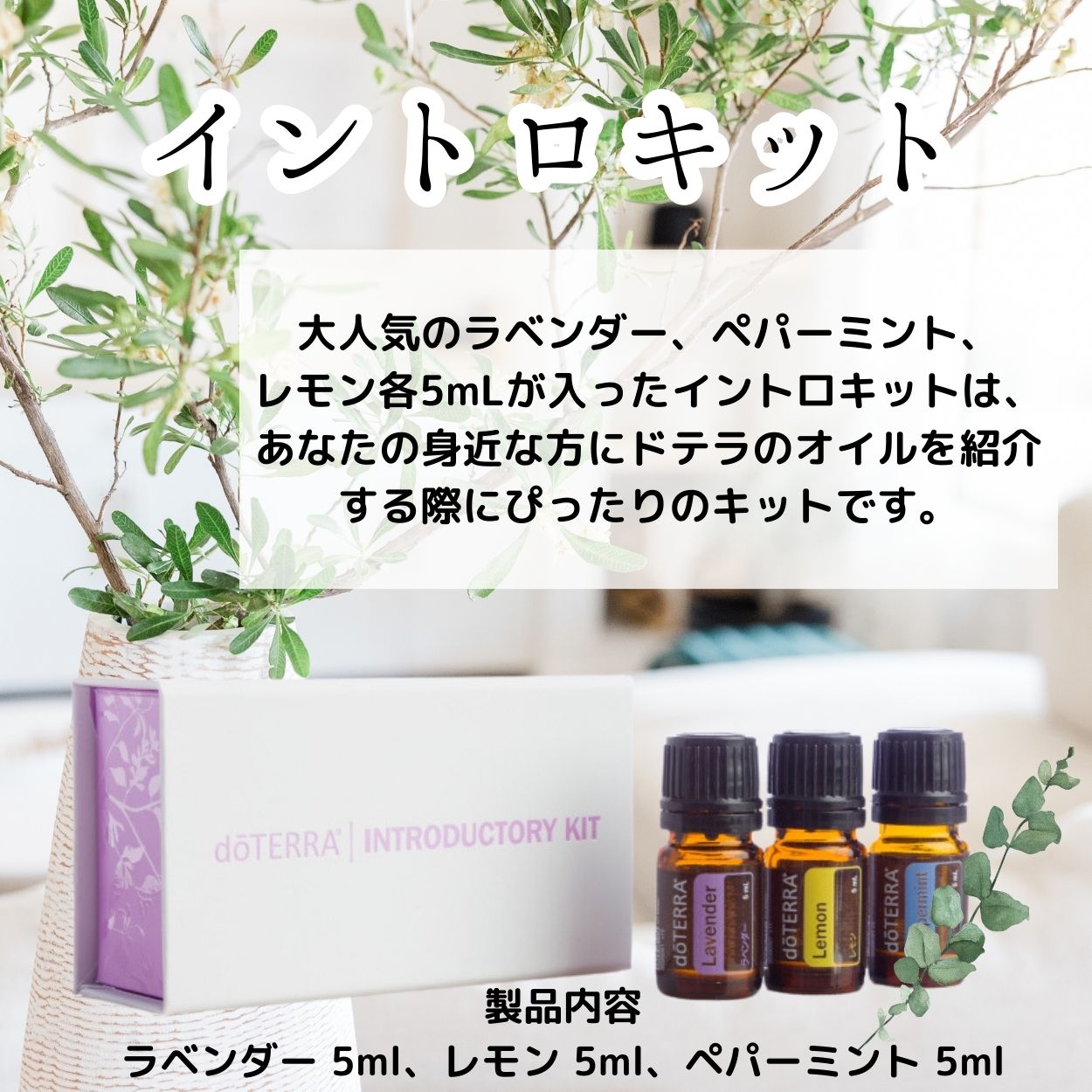 イントロキット【アロマオイル基本の3本セット】】