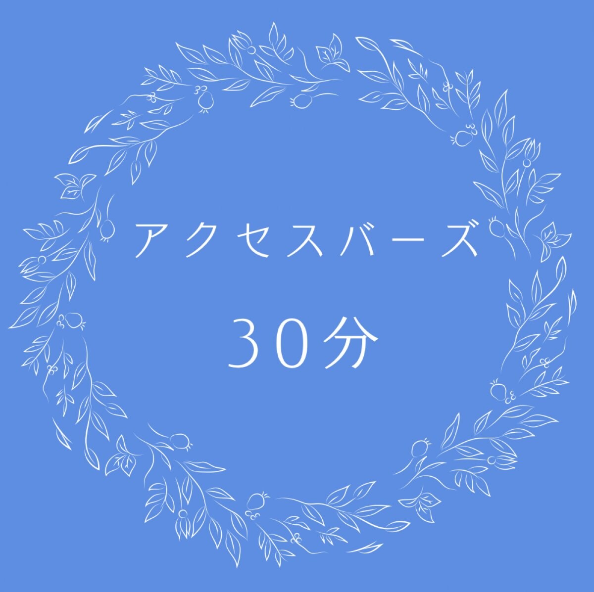 アクセスバーズ(30分)出張可