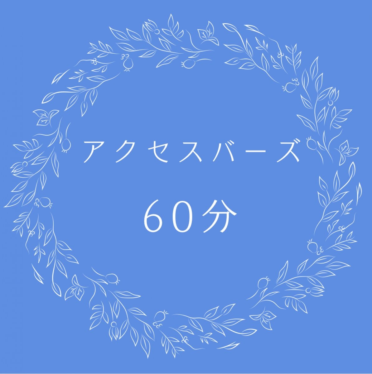 アクセスバーズ(60分)出張可