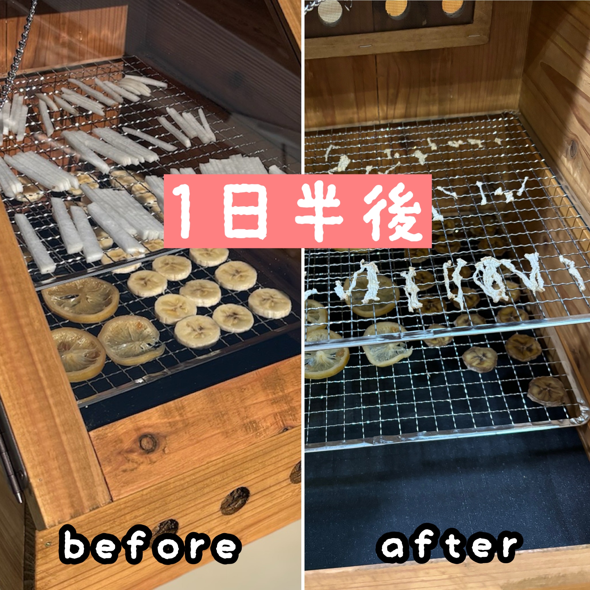 ソーラーフードドライヤー