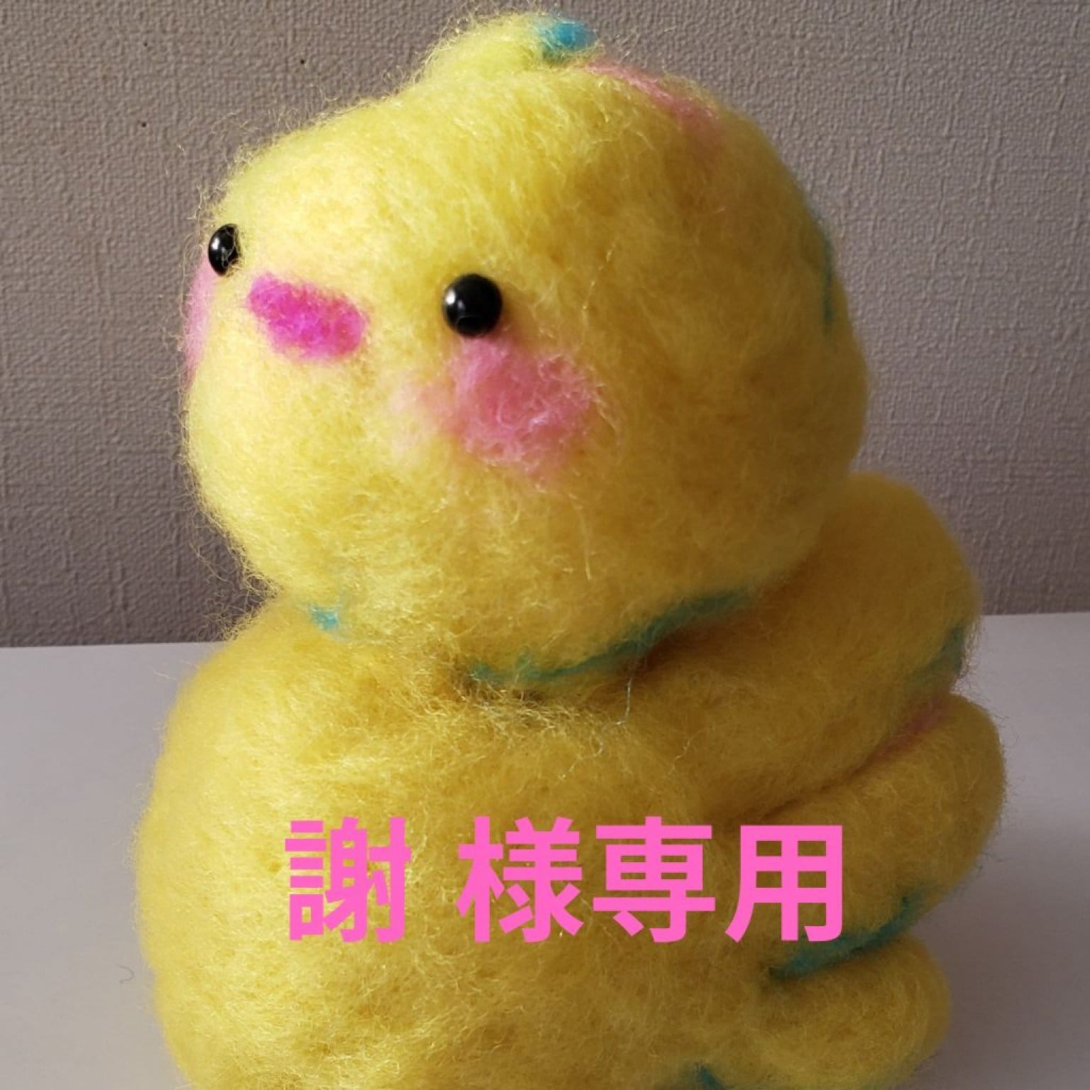 【謝様専用】家事代行　２時間半チケット
