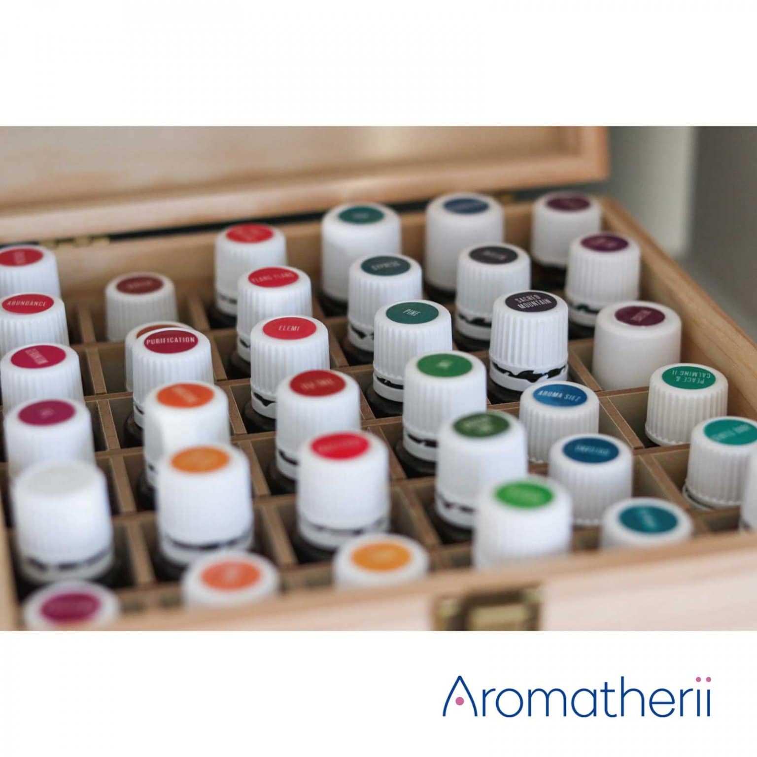 ロバート・ティスランド『精油の安全性マスタークラス 第２改訂版』e-ラーニング講座　第４期　Aromatherii