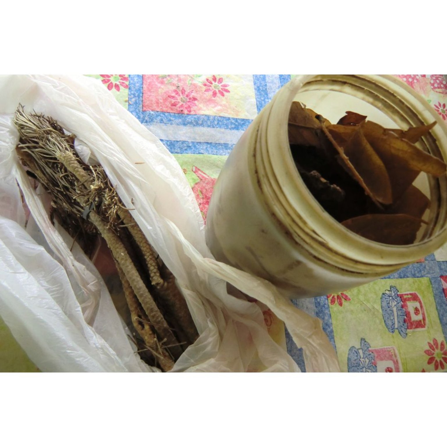 Aromatherii (アロマテリ）7月26日「ブラジルの薬草文化に学ぶSDGsな生活」【Zoomセミナー／録画配信あり】