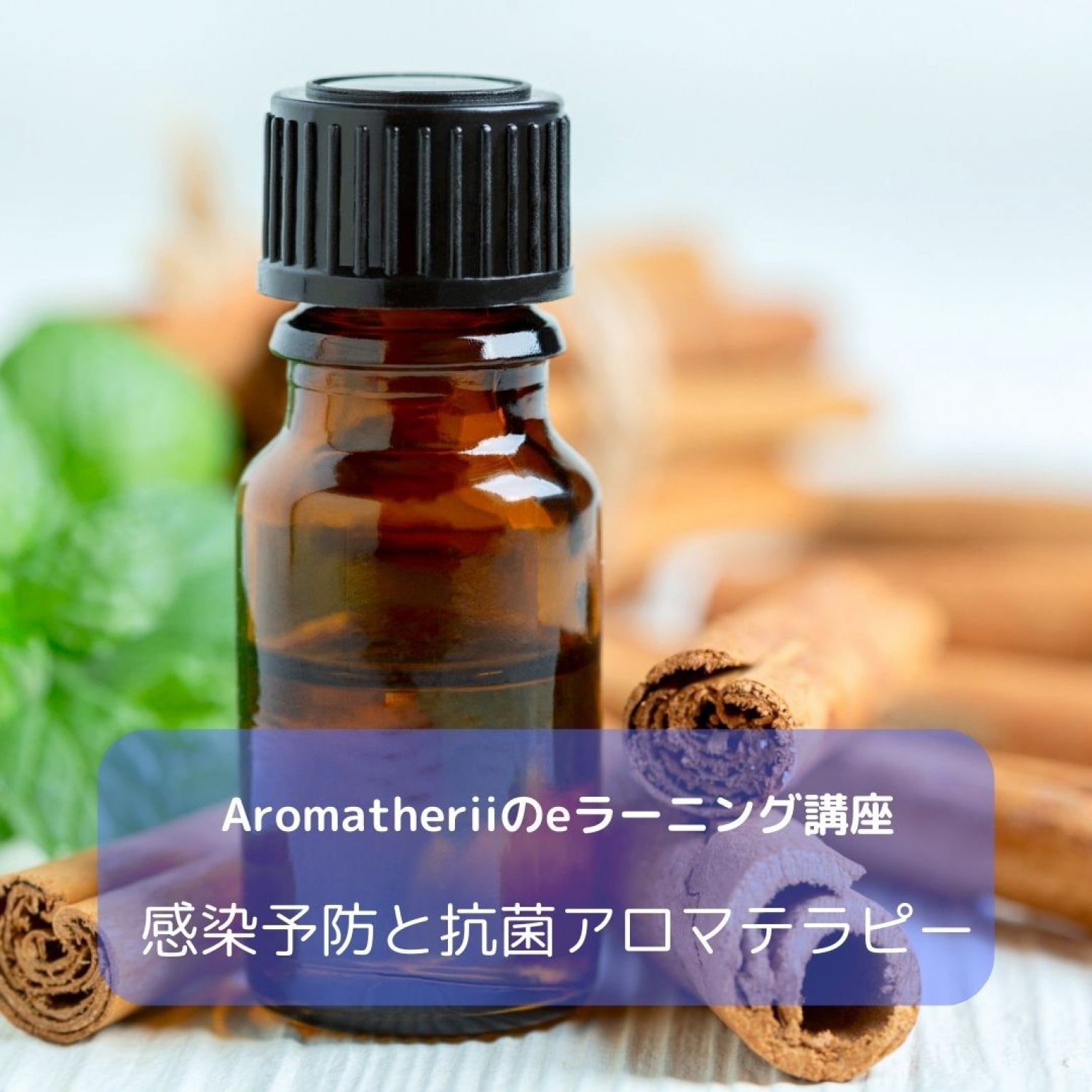 『感染症予防と抗菌アロマテラピー』e-ラーニング講座 Aromatherii