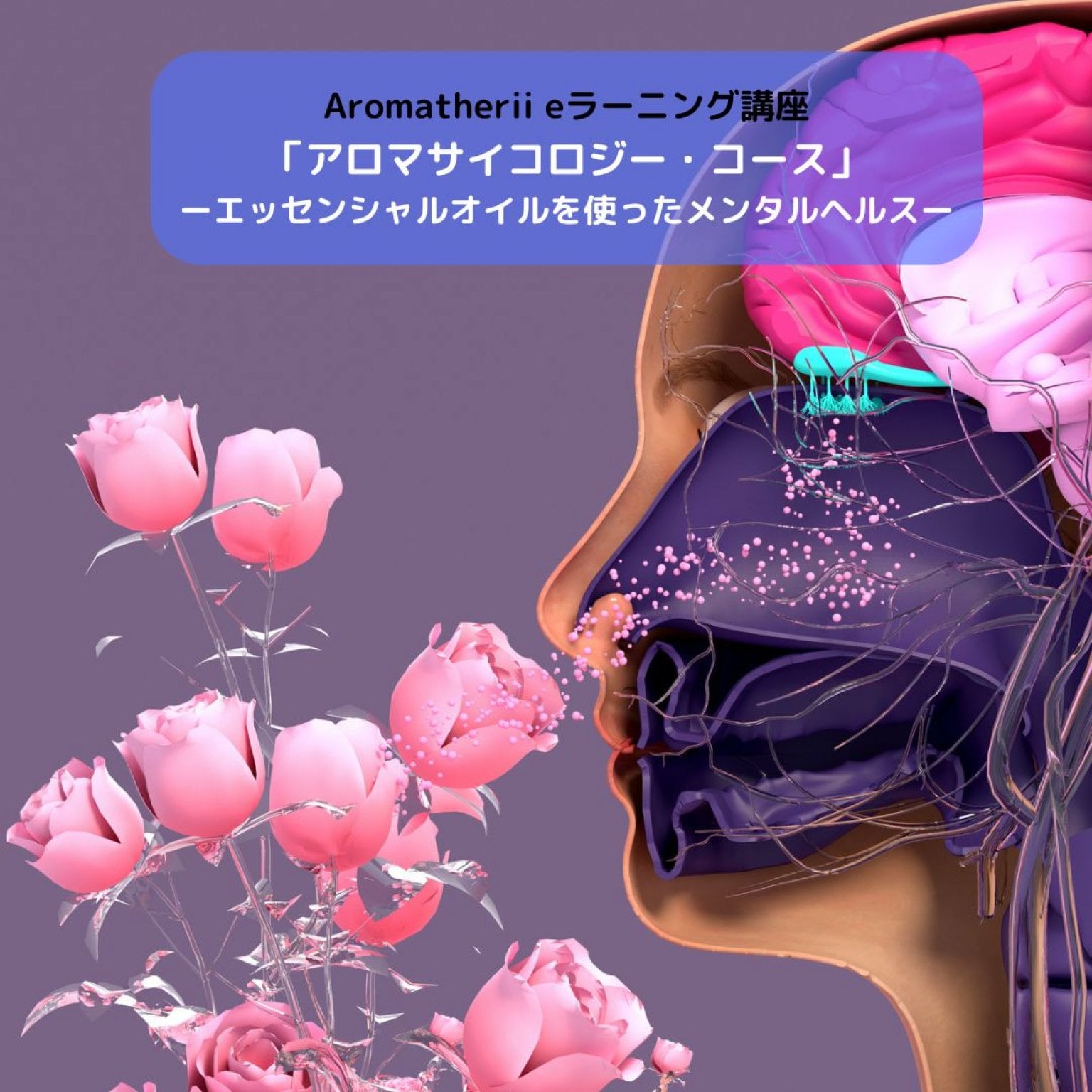 ロバート・ティスランド『アロマサイコロジー・コース』第３期 eラーニング講座　Aromahterii 