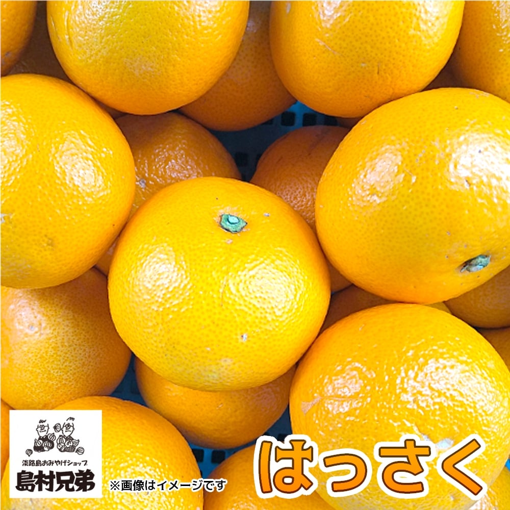 淡路島産 はっさく(10kg)