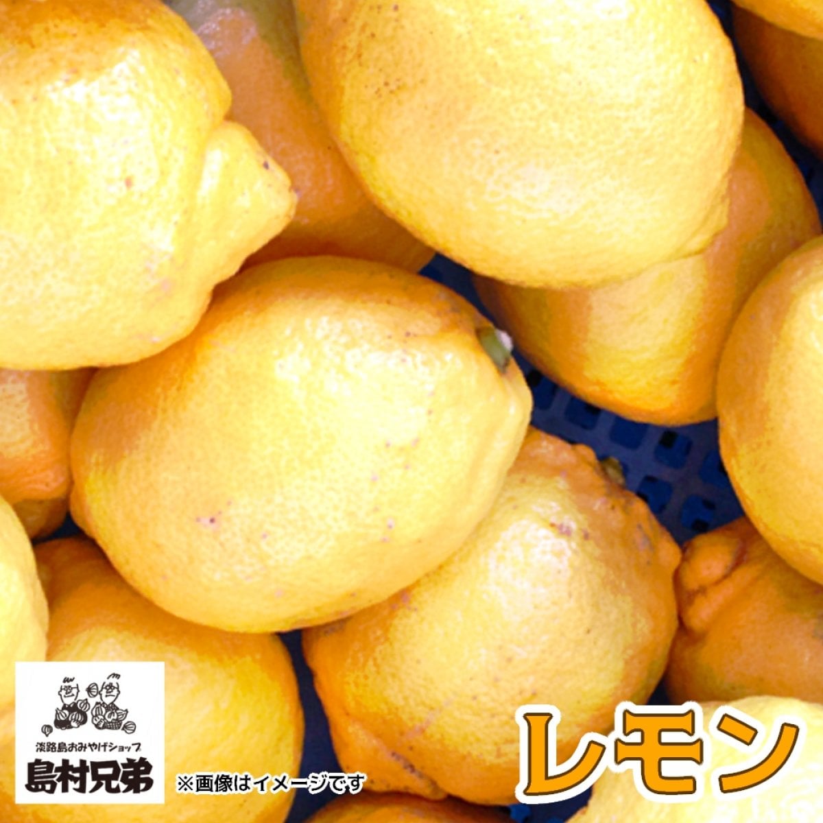 淡路島産 レモン(10kg)