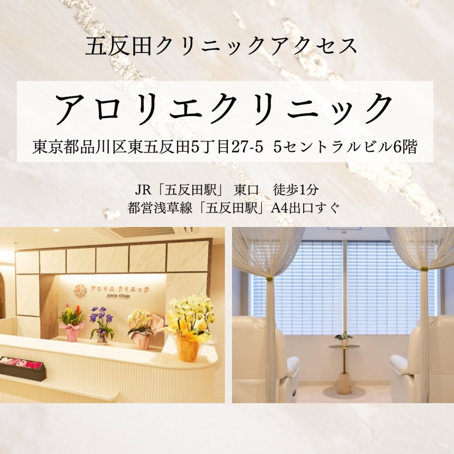 紹介/ペア割の方限定　アートメイク　眉orリップ　1回分