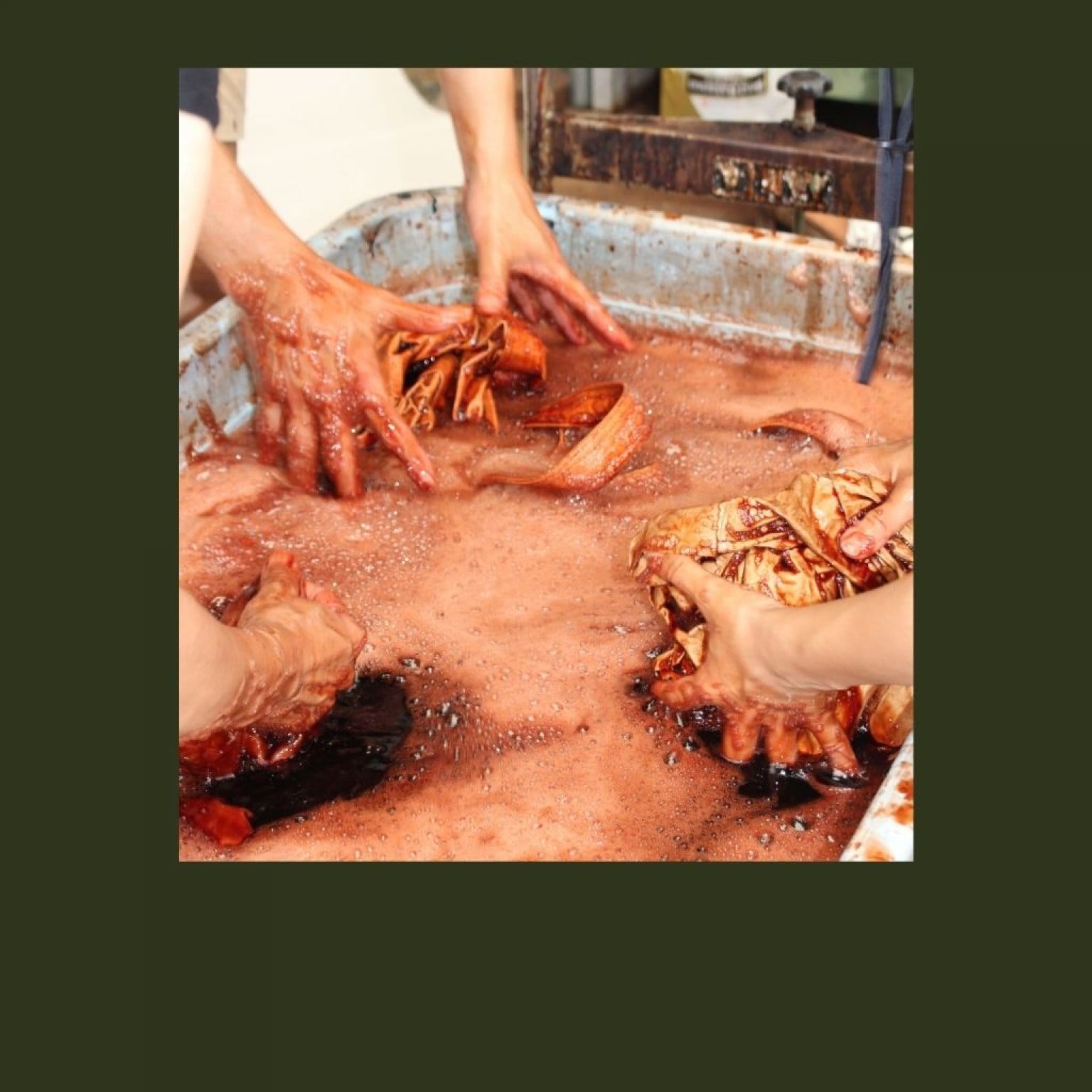 【社会人用・午後の部】2023.11.18 柿渋染の体験