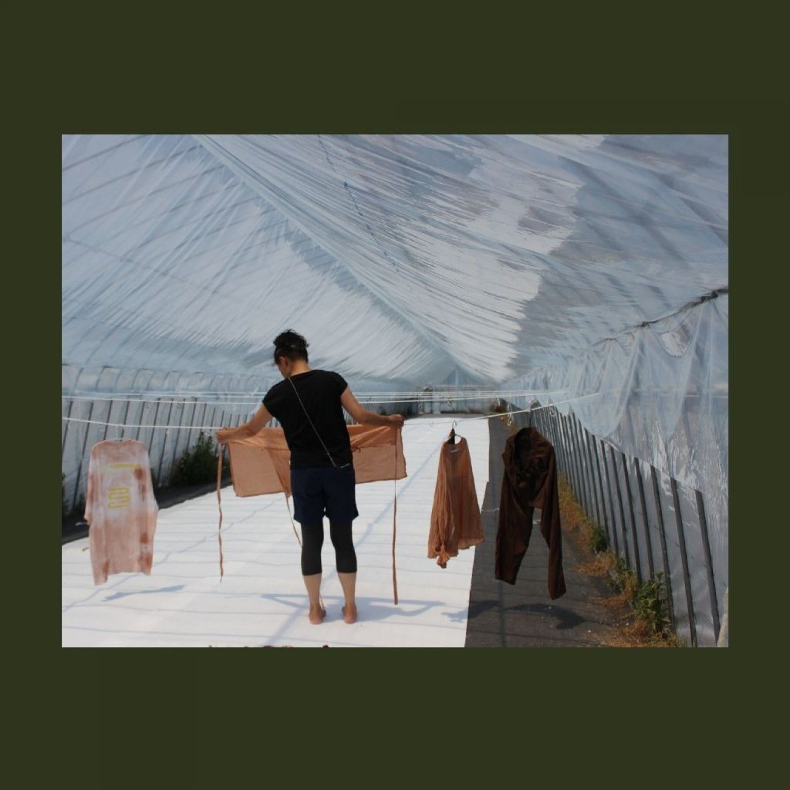 【社会人用・午後の部】2023.11.18 柿渋染の体験