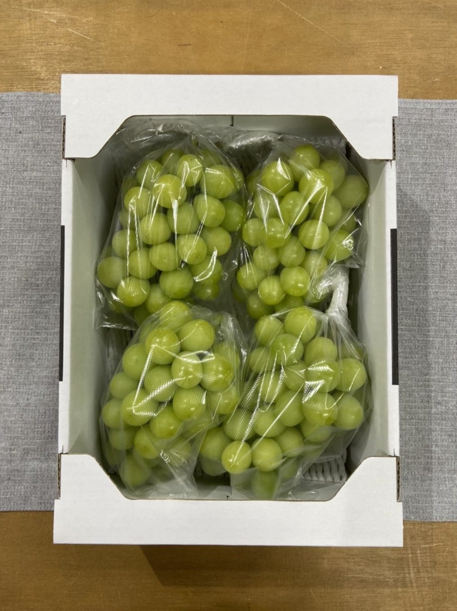 シャインマスカット  家庭用２キロ【ふじわら農園】