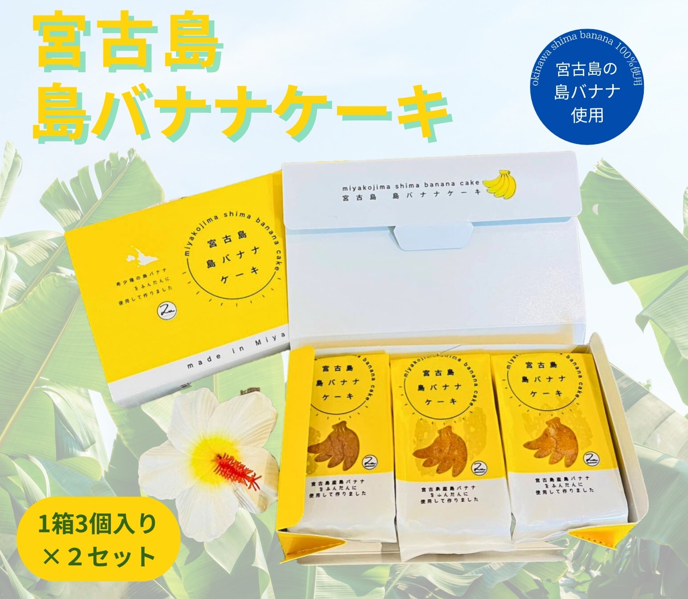 宮古島産島バナナ使用『宮古島 島バナナケーキ』三個入り×2箱