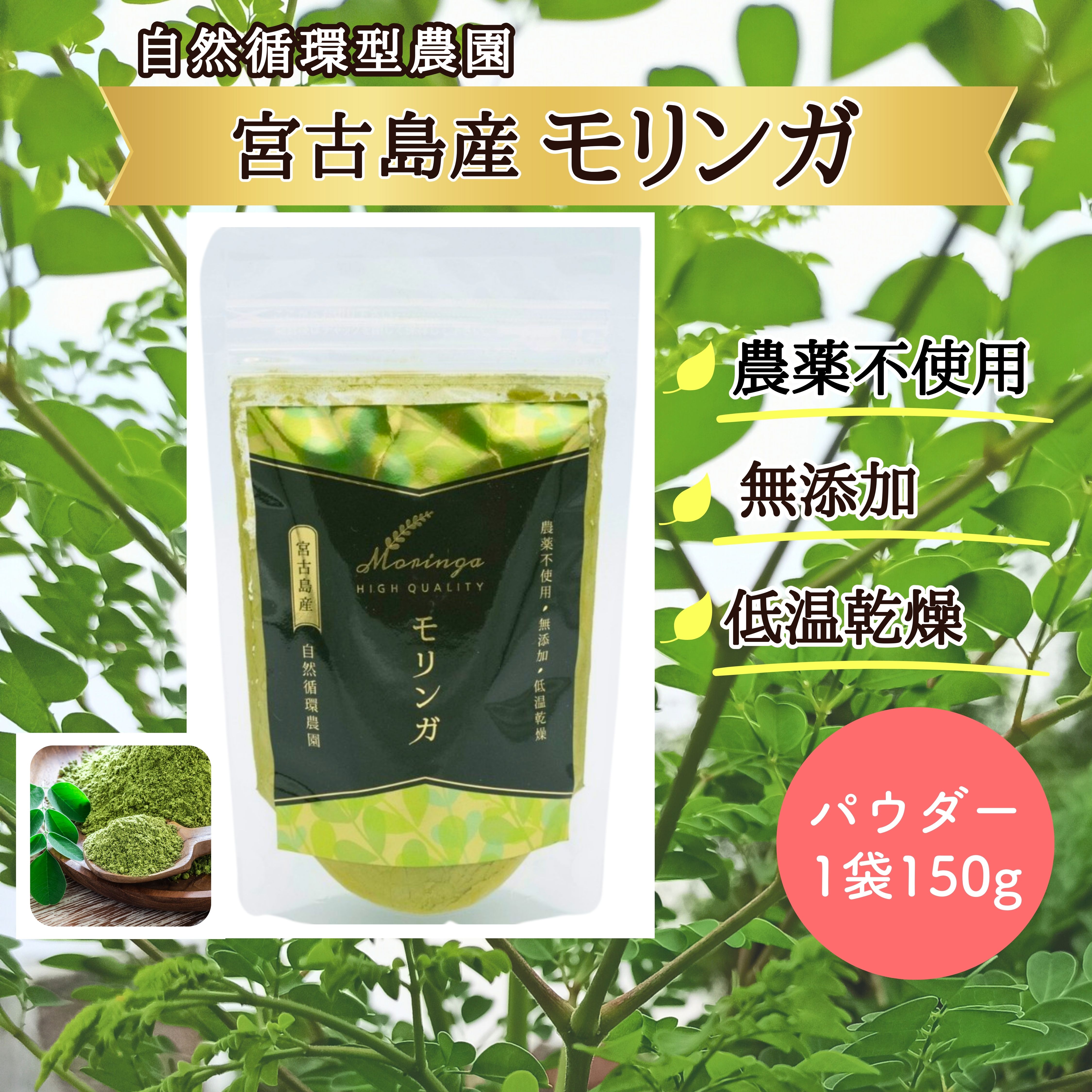 無農薬 宮古島産 モリンガパウダー1袋（粉末タイプ30g）