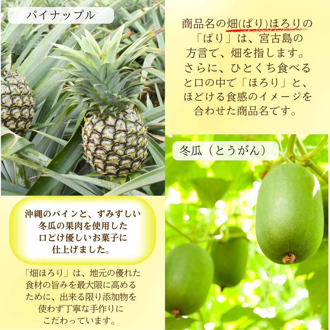 [天然]沖縄県産キイロダカラ150個 天然]沖縄県産キイロダカラ150個 キイロダカラ : 貝殻ストア - 通販