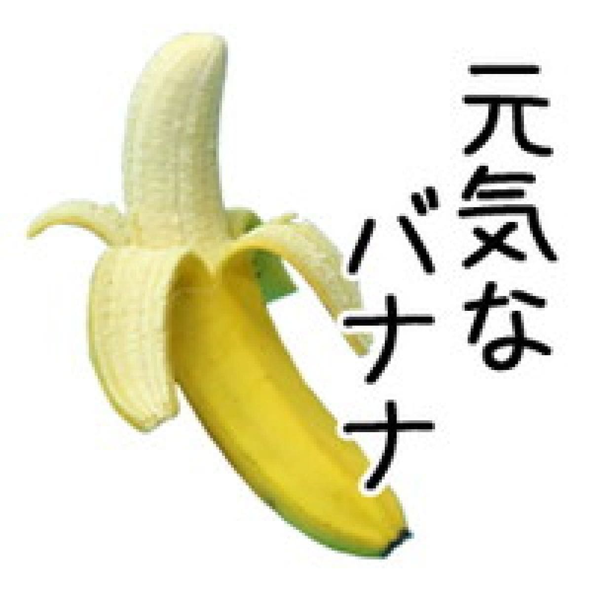 LINEスタンプ制作  ＜おまかせプラン40＞