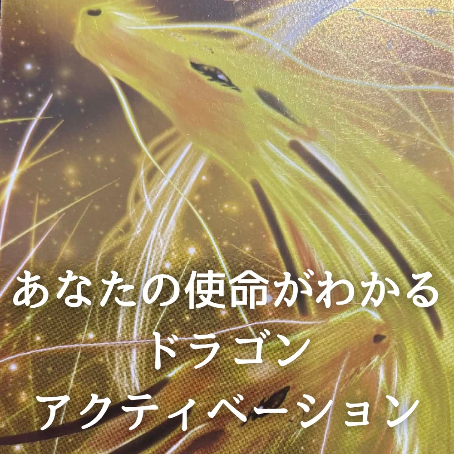 2026年中に、眠っているあなたの本来の力を覚醒させるドラゴンアクティベーション（3回分）